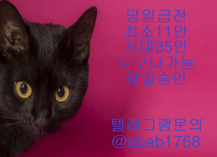선불유심내구제 유심내구제 내구제 고액알바 당일대출 당일급전 비대면대출 비대면급전 (1).jpg
